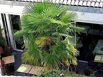 Hotel De La Tour A Libourne